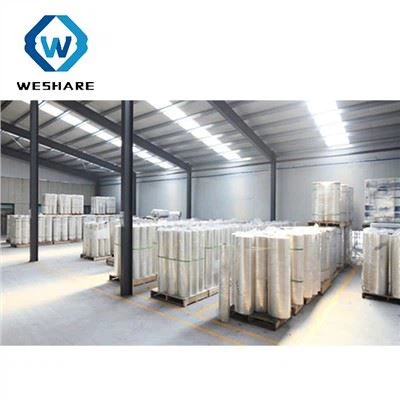 ब्लू फ्लोरोसिलिकोन पॉलिएस्टर रिलीज फिल्म सिंगल साइडेड